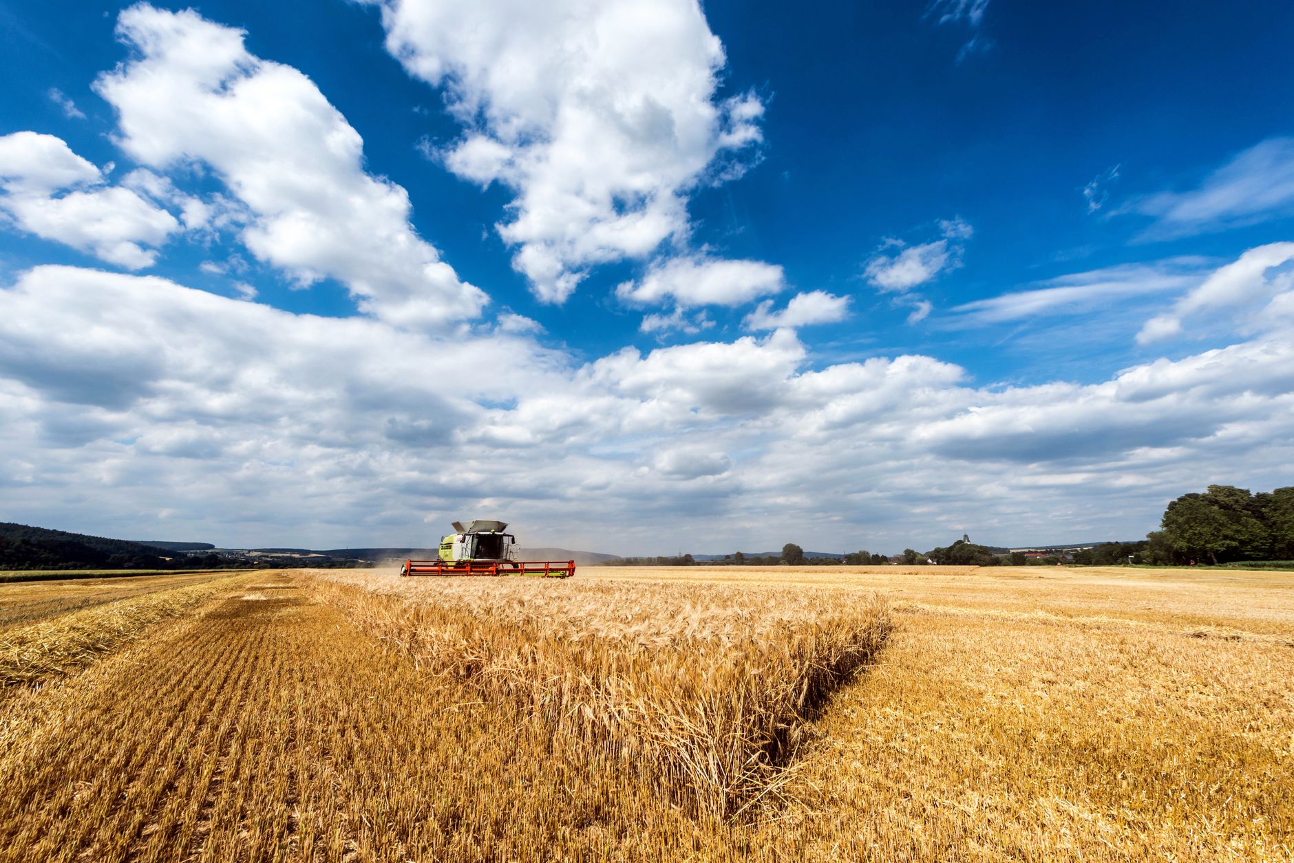 Agronegócio e Comércio em Paranatinga: Oportunidades para 2025